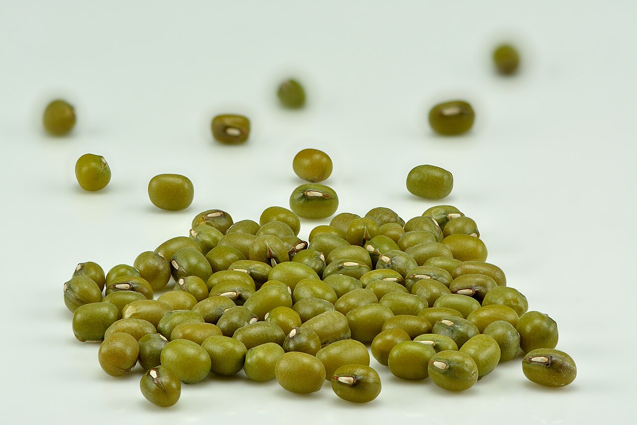 Whole dry green mung beans, Vigna radiata, with their natural green skins